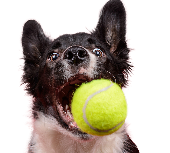 iStock-1207311328 1 (1)