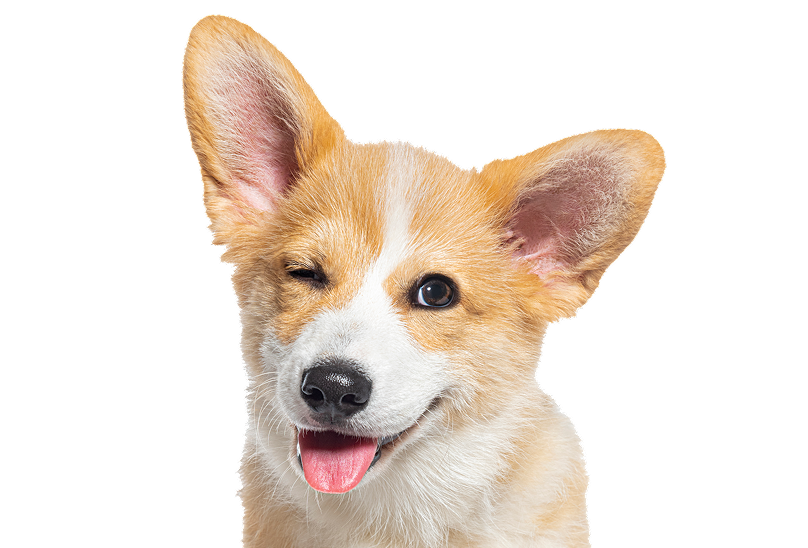 iStock-1482199015 (1) 1 (2)