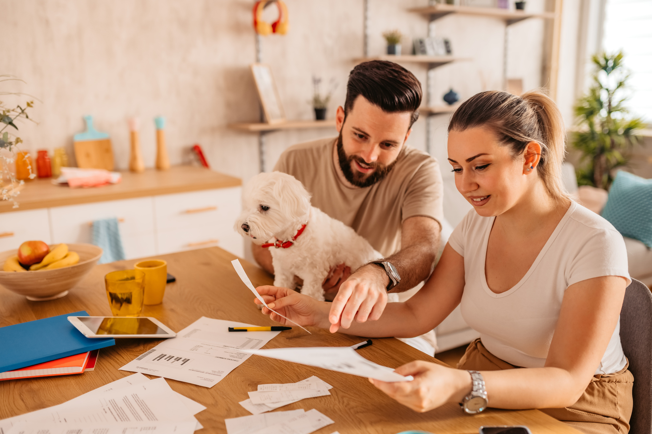 Accident-Only Dog Insurance vs Comprehensive: Which Wins?